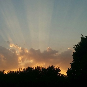 Каникулы для души 2016 вторая смена